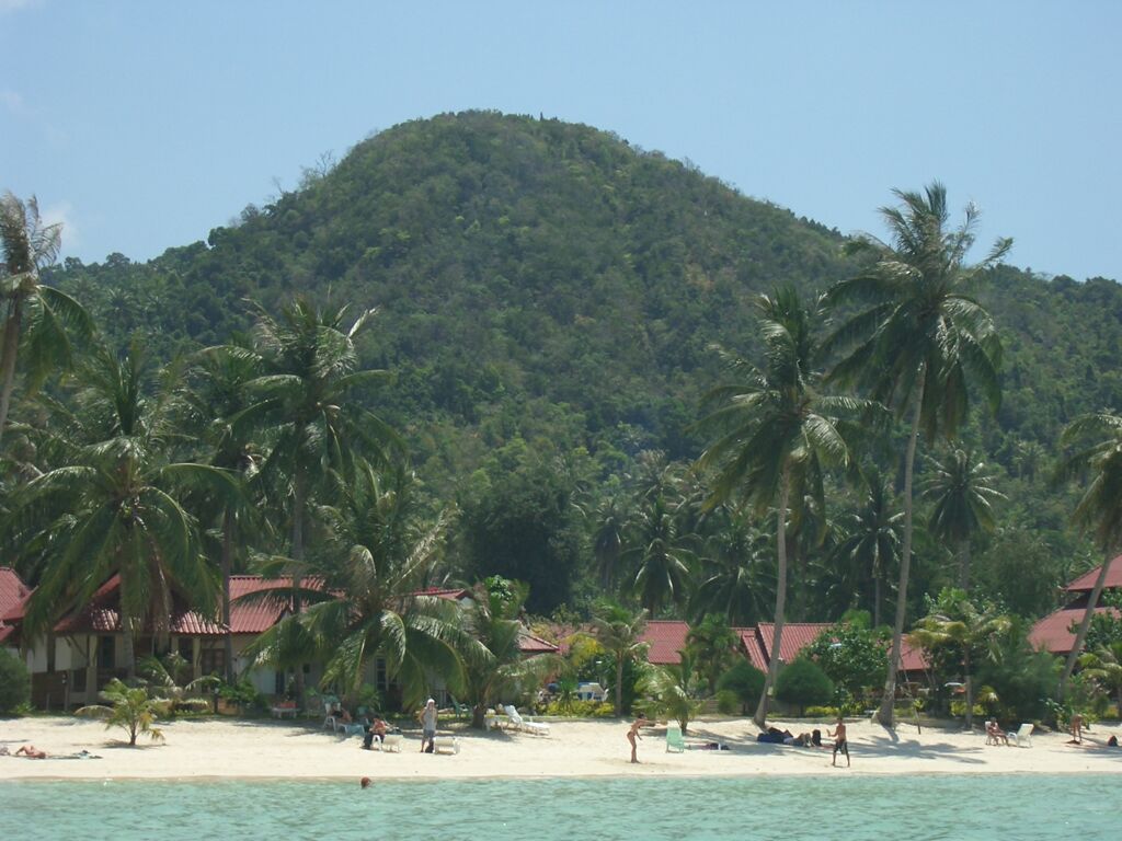 Click to See Next Image